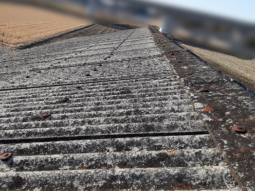 倉庫スレート波板の屋根のコケ